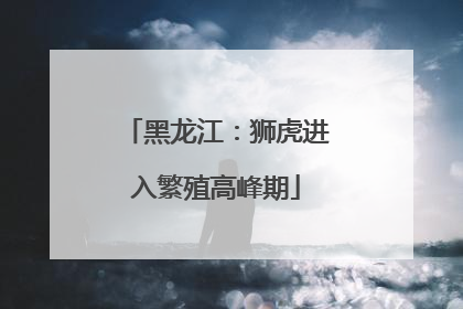 黑龙江：狮虎进入繁殖高峰期
