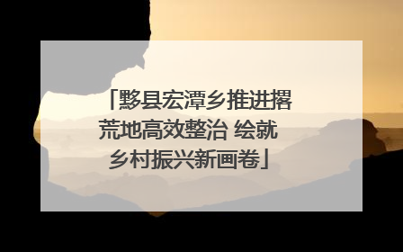 黟县宏潭乡推进撂荒地高效整治 绘就乡村振兴新画卷