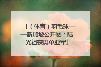 （体育）羽毛球——新加坡公开赛：陆光祖获男单亚军