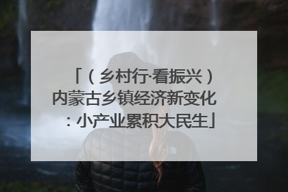 （乡村行·看振兴）内蒙古乡镇经济新变化：小产业累积大民生