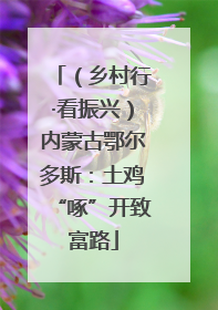 （乡村行·看振兴）内蒙古鄂尔多斯：土鸡“啄”开致富路