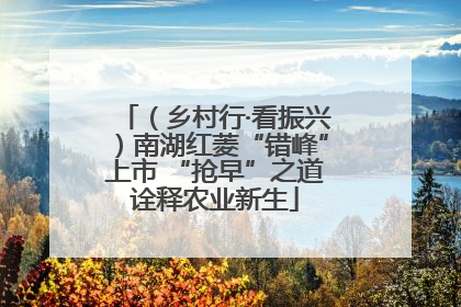 （乡村行·看振兴）南湖红菱“错峰”上市 “抢早”之道诠释农业新生