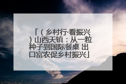 （乡村行·看振兴）山西天镇：从一粒种子到国际餐桌 出口富农促乡村振兴