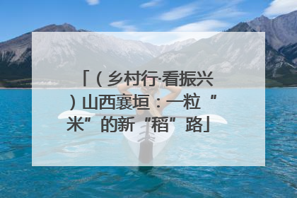 （乡村行·看振兴）山西襄垣：一粒“米”的新“稻”路