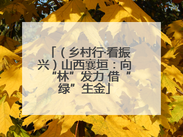 （乡村行·看振兴）山西襄垣：向“林”发力 借“绿”生金