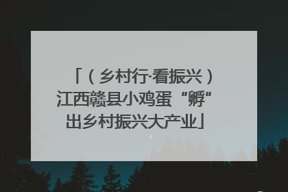 （乡村行·看振兴）江西赣县小鸡蛋“孵”出乡村振兴大产业