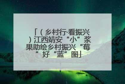 （乡村行·看振兴）江西靖安“小”浆果助绘乡村振兴“莓”好“蓝”图