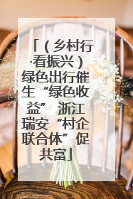 （乡村行·看振兴）绿色出行催生“绿色收益” 浙江瑞安“村企联合体”促共富