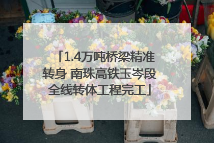 1.4万吨桥梁精准转身 南珠高铁玉岑段全线转体工程完工
