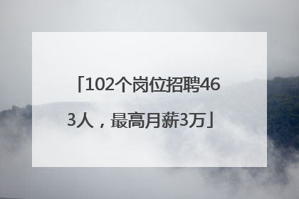 102个岗位招聘463人，最高月薪3万