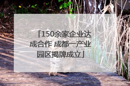 150余家企业达成合作 成都一产业园区揭牌成立