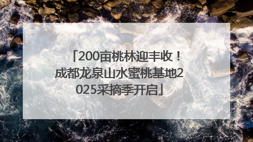 200亩桃林迎丰收！成都龙泉山水蜜桃基地2025采摘季开启