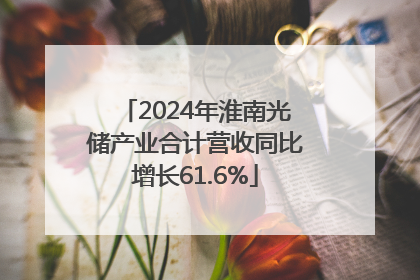 2024年淮南光储产业合计营收同比增长61.6%