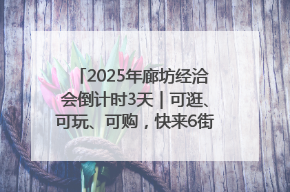 2025年廊坊经洽会倒计时3天｜可逛、可玩、可购，快来6街16巷逛市集