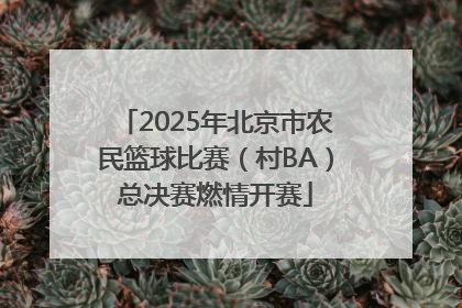2025年北京市农民篮球比赛（村BA）总决赛燃情开赛