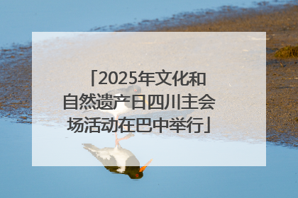2025年文化和自然遗产日四川主会场活动在巴中举行