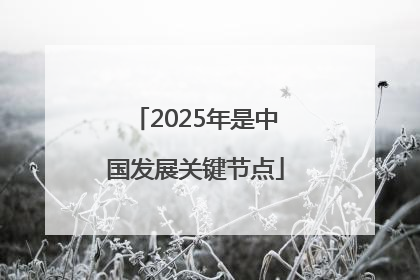 2025年是中国发展关键节点