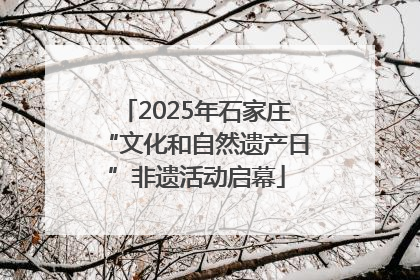 2025年石家庄“文化和自然遗产日”非遗活动启幕
