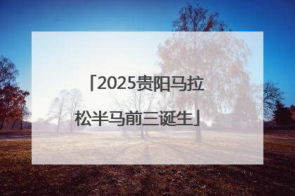 2025贵阳马拉松半马前三诞生