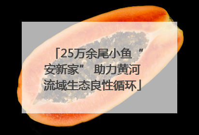 25万余尾小鱼“安新家” 助力黄河流域生态良性循环