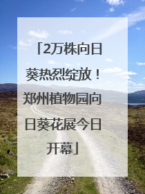 2万株向日葵热烈绽放！郑州植物园向日葵花展今日开幕