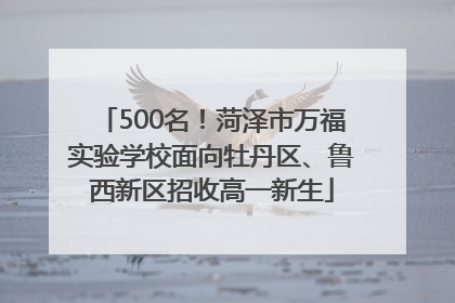 500名！菏泽市万福实验学校面向牡丹区、鲁西新区招收高一新生