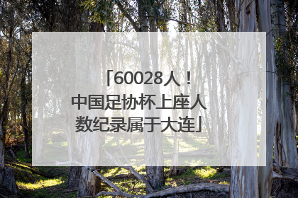 60028人！中国足协杯上座人数纪录属于大连