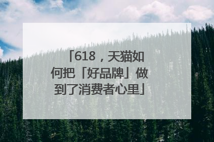 618，天猫如何把「好品牌」做到了消费者心里