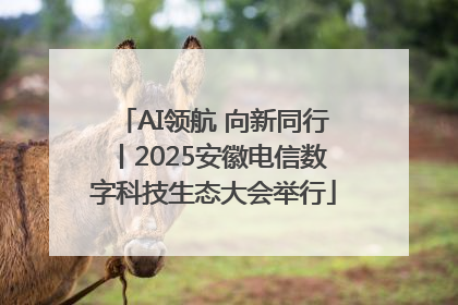 AI领航 向新同行丨2025安徽电信数字科技生态大会举行