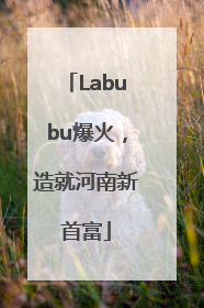 Labubu爆火，造就河南新首富