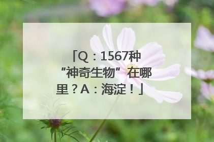 Q：1567种“神奇生物”在哪里？A：海淀！